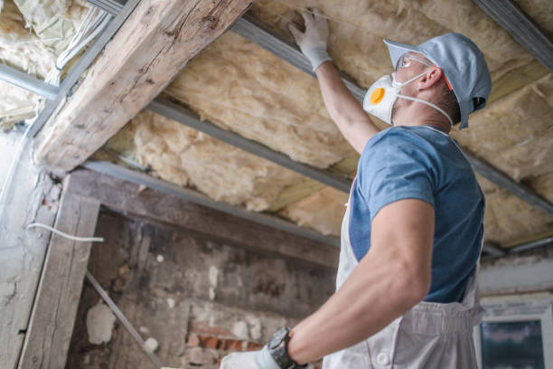 Best Eco-Friendly Insulation in Polkton, NC