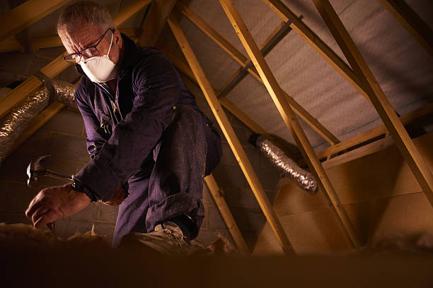 Types of Insulation We Offer in Polkton, NC